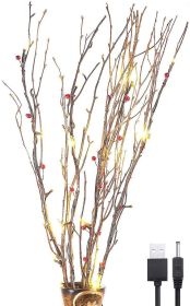 Led Strings Of Decorative Lights Illuminate The Night (Option: Height 80cm plugin model-USB)